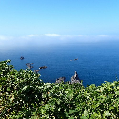 🚀 일본 로켓 발상 기념비(니혼 로켓토 핫쇼 키넨노 히) 이미지 2